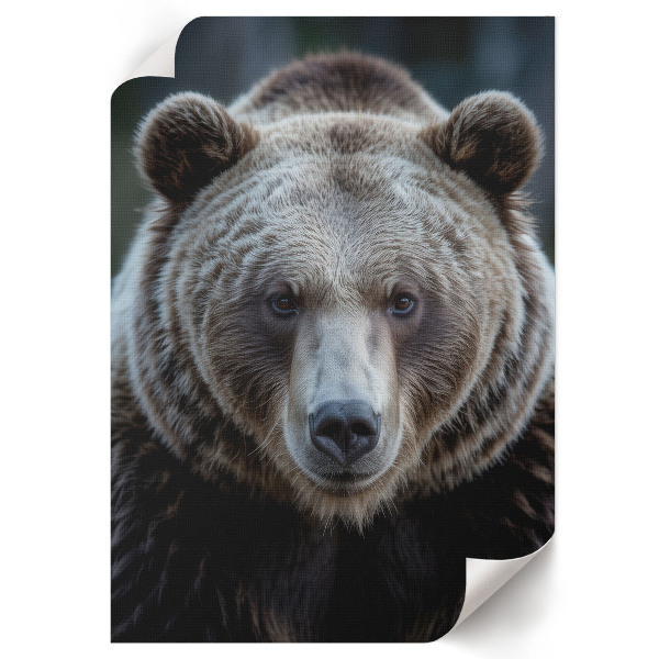 Wall art Bear strength