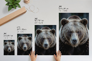 Wall art Bear strength