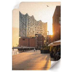 Poster featuring a sunset
