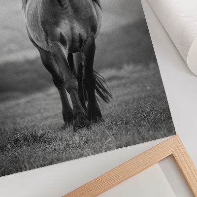 Wall art A stately horse