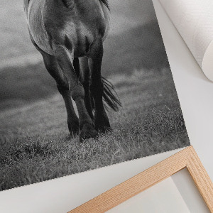 Wall art A stately horse