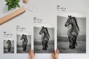 Wall art A stately horse