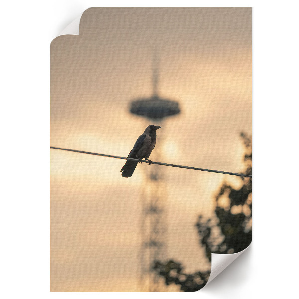 Wall print Bird on a Cable