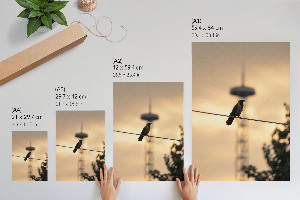 Wall print Bird on a Cable