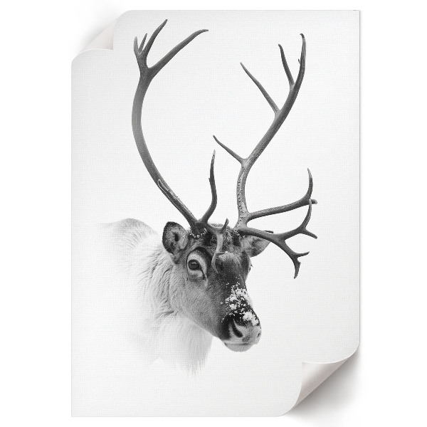 Decorative poster Winter reindeer