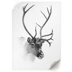 Decorative poster featuring a winter reindeer