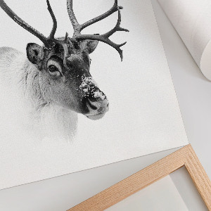 Decorative poster Winter reindeer