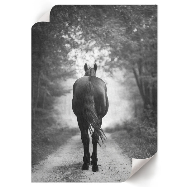 Poster A horse in the forest