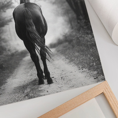 Poster A horse in the forest