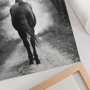 Poster A horse in the forest