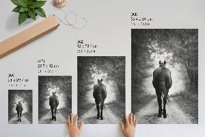 Poster A horse in the forest