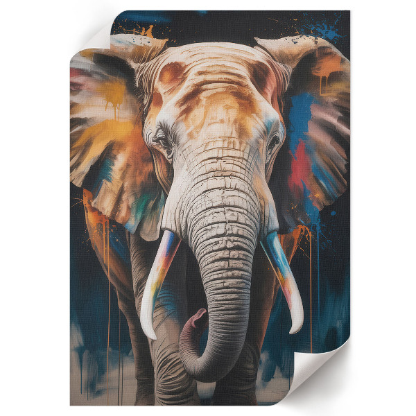 Poster Elephant in colors