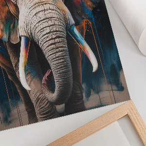 Poster Elephant in colors