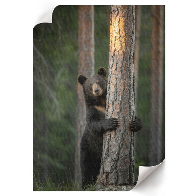 Wall print Nature beauty
