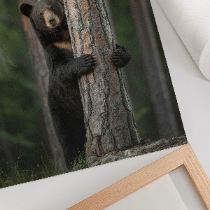 Wall print Nature beauty