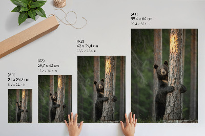 Wall print Nature beauty