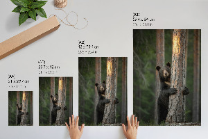 Wall print Nature beauty