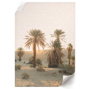 Art print Desert peace