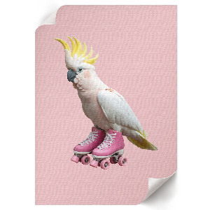 Decorative poster showing a parrot on roller skates