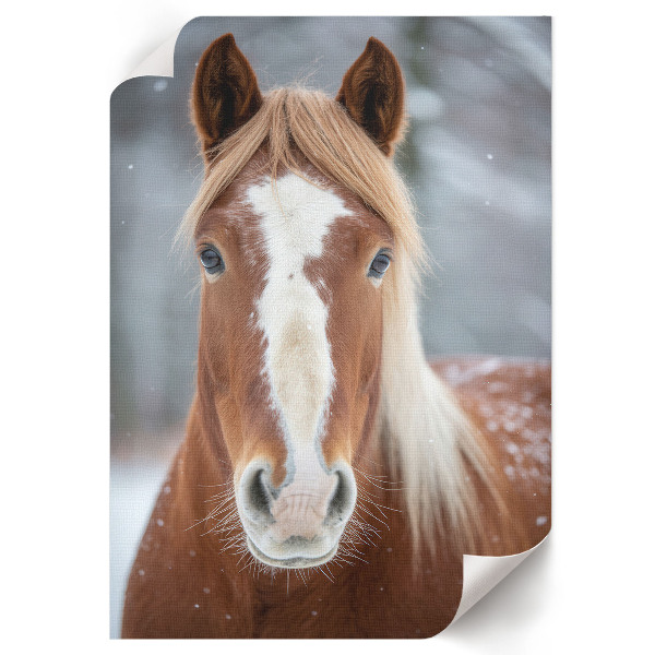 Wall art Horse in winter