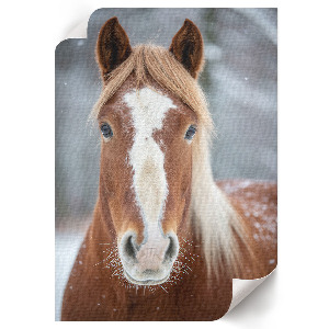 Wall art depicting a horse in winter