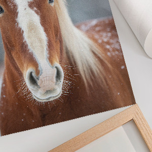 Wall art Horse in winter