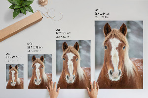 Wall art Horse in winter