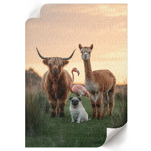 Decorative poster Animals together