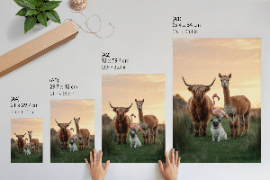 Decorative poster Animals together