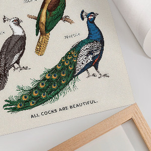 Poster Colorful birds