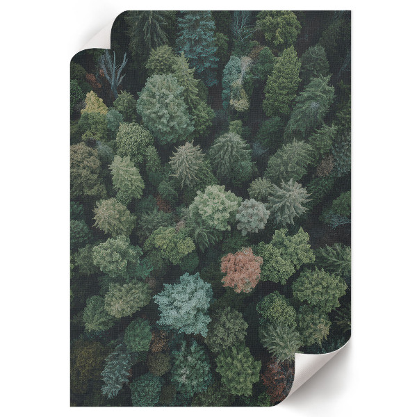 Wall art showing a forest from above