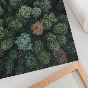 Wall art showing a forest from above