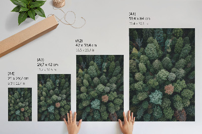 Wall art Forest from above