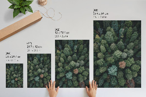 Wall art showing a forest from above