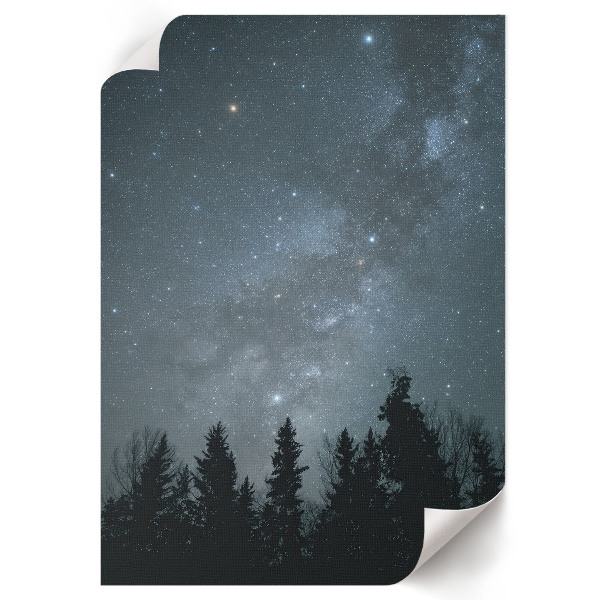 Art print of Vincent van Gogh's "Starry Night"