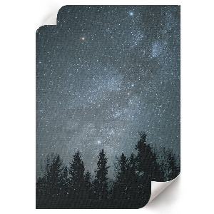 Art print of Vincent van Gogh's 