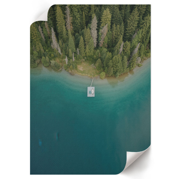 Decorative poster Forest paradise