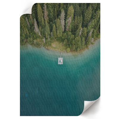 Decorative poster Forest paradise