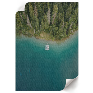 Decorative poster Forest paradise