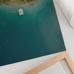 Decorative poster Forest paradise