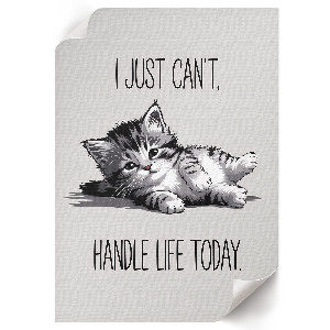 Adorable kitty poster