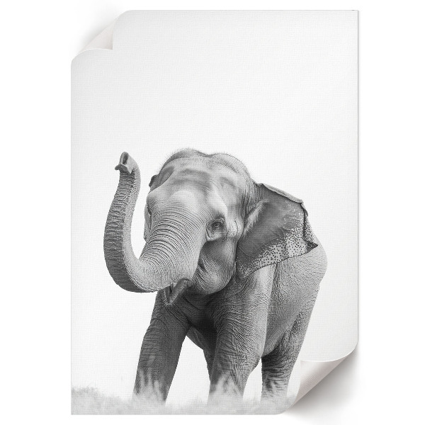 Artistic elephant wall print