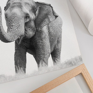 Artistic elephant wall print