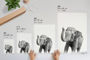 Artistic elephant wall print