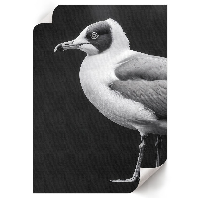 Decorative poster Bird portrait