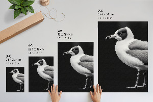 Decorative poster with a bird portrait