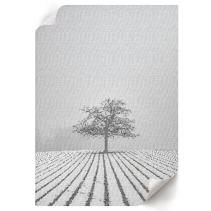 Winter landscape poster