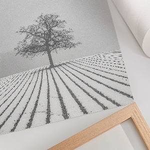 Poster Winter landscape