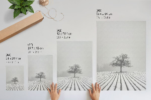 Poster Winter landscape