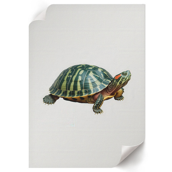 Art print Terrapin